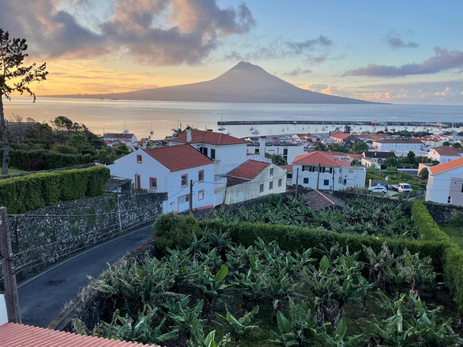 Quinta Peixinho Rc Dt Apartment Horta (Azores)